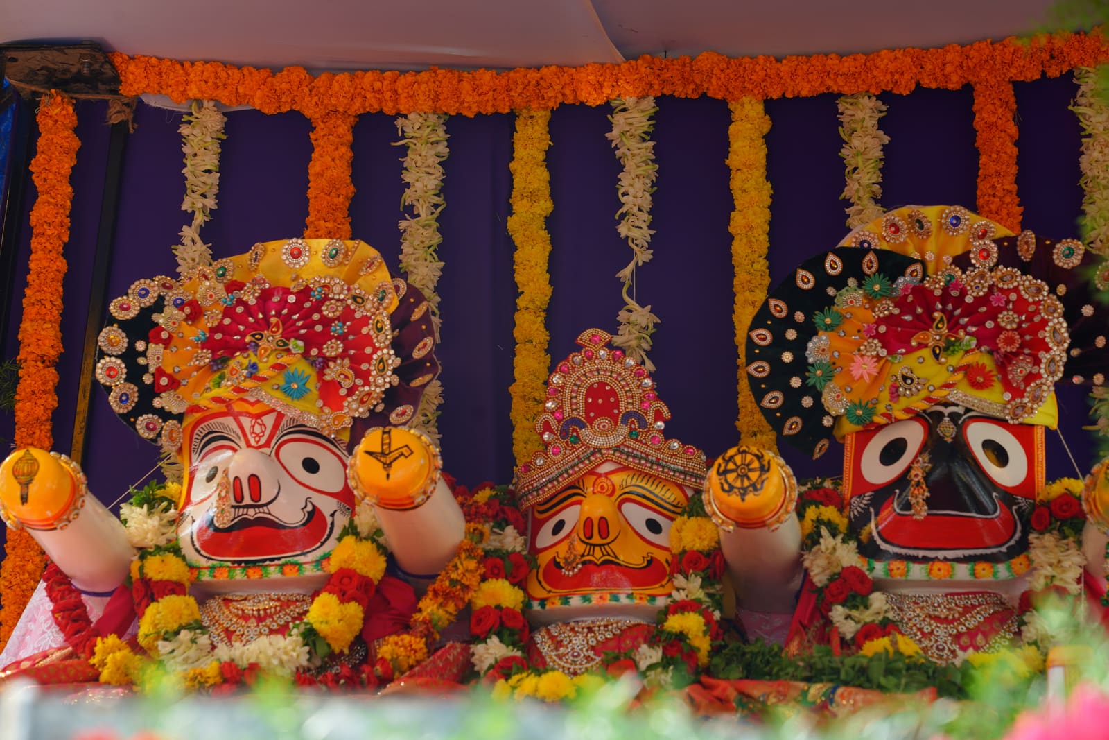 Rath Yatra Darshan